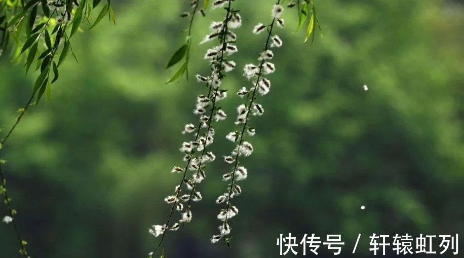 韩愈$韩愈这五句名诗,让人读了还想再读