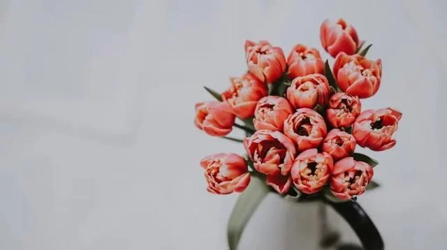 四月再见五月你好的图片