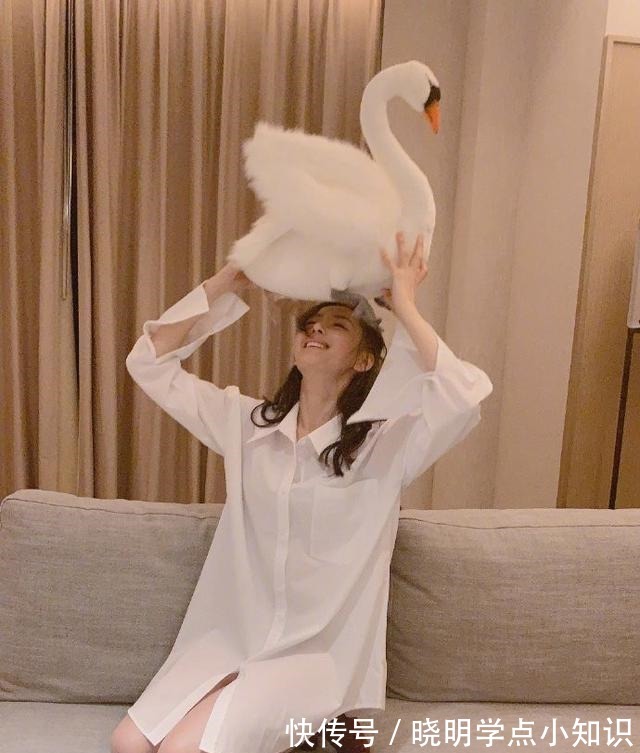 looklook 真是爱了张钧甯的身材,扮“下衣失踪”腿真细,穿平底鞋腿也挺长!
