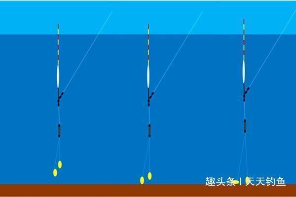 带饵|带饵调漂的优势,这种调漂方法公认最科学,肯定是有道理的