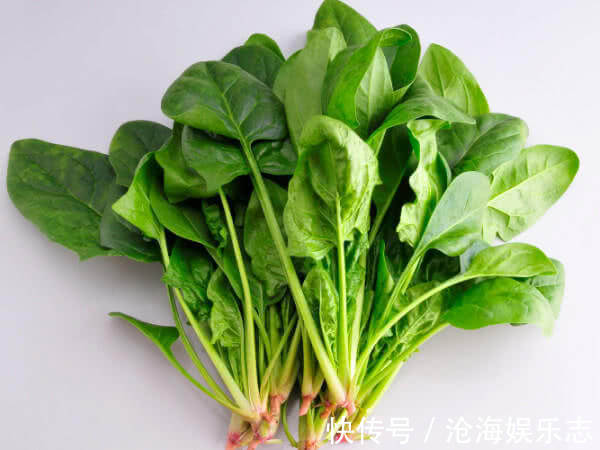 不孕不育|百岁老人从来不吃以下4种食物,会影响身体健康,早点知