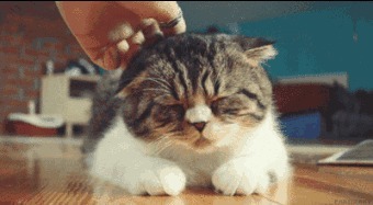 睡前|睡前1小时是养生黄金期！坚持6个动作，冬天养肾有奇效