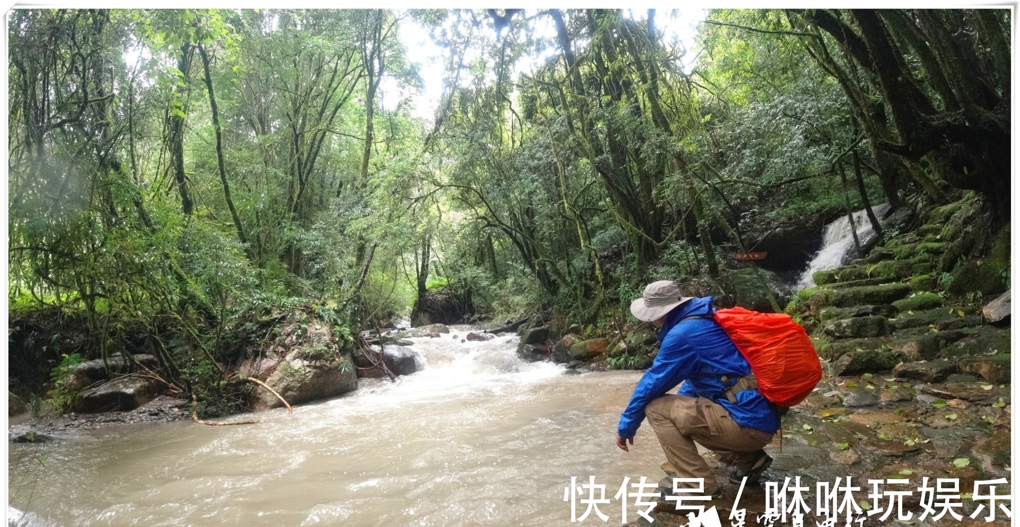 原始森林|自驾云南新平哀牢山，在雨中走茶马古道、体会马帮伙计的辛酸苦辣