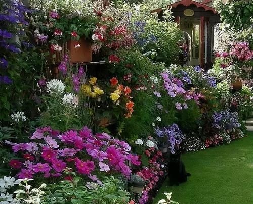 难怪老领导退休，都要回乡下住！拍照给你们瞧瞧！那叫一个漂亮！