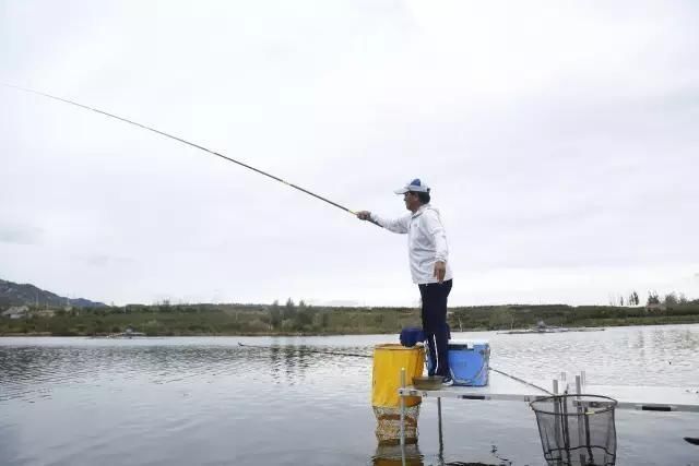 化氏垂钓口诀,化老师总结的实用鱼钓锦囊