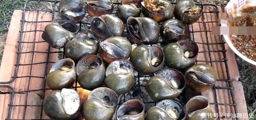  画风|男子挑战200个“福寿螺”，掰开后画风突变，网友：这肉吃不得