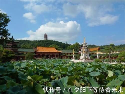 东林寺|我国最良心的寺庙，不用门票烧香拜佛免费，却阻止这一类人进入