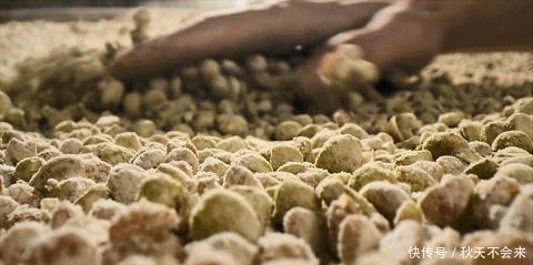 粤菜之所以高级,调味料也很努力哦!