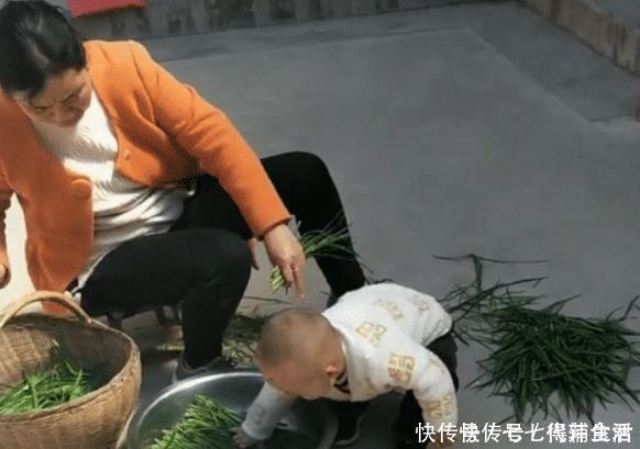 实力|“会干的不想干,不会干的抢着干”,萌娃实力帮倒忙,摘韭菜火了