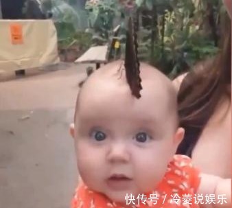 黑蝴蝶|路人看到宝宝留着“扫帚发型”,走近后一看,却是感到不可思议