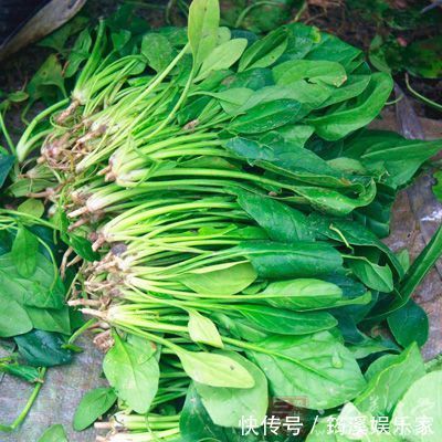 糖尿病吃什么蔬菜健康?以下15种蔬菜健康营养,适当多吃