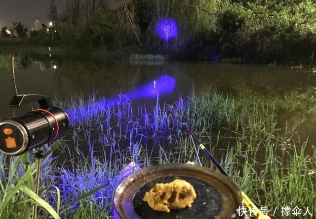 冬季夜钓|入冬后还能夜钓吗?只要不怕冷,夜钓就能带给你惊喜--皇禾钓具