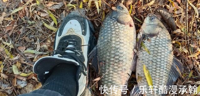 冬季野钓请避开这几个坑,大板鲫拉到手软