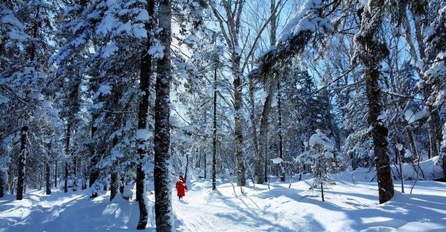  林海雪原|历史上真实的座山雕是怎么死的远没电影激烈，但更可歌可泣