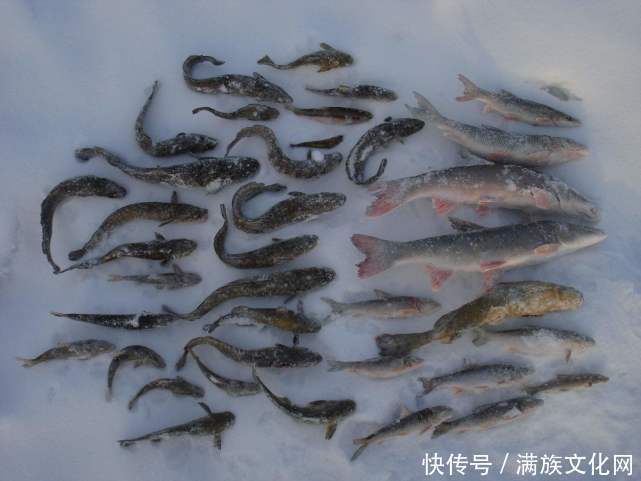 蹊跷|“冰上捕鱼单线拽”——关东这一怪怪得蹊跷 单线究竟拽什么