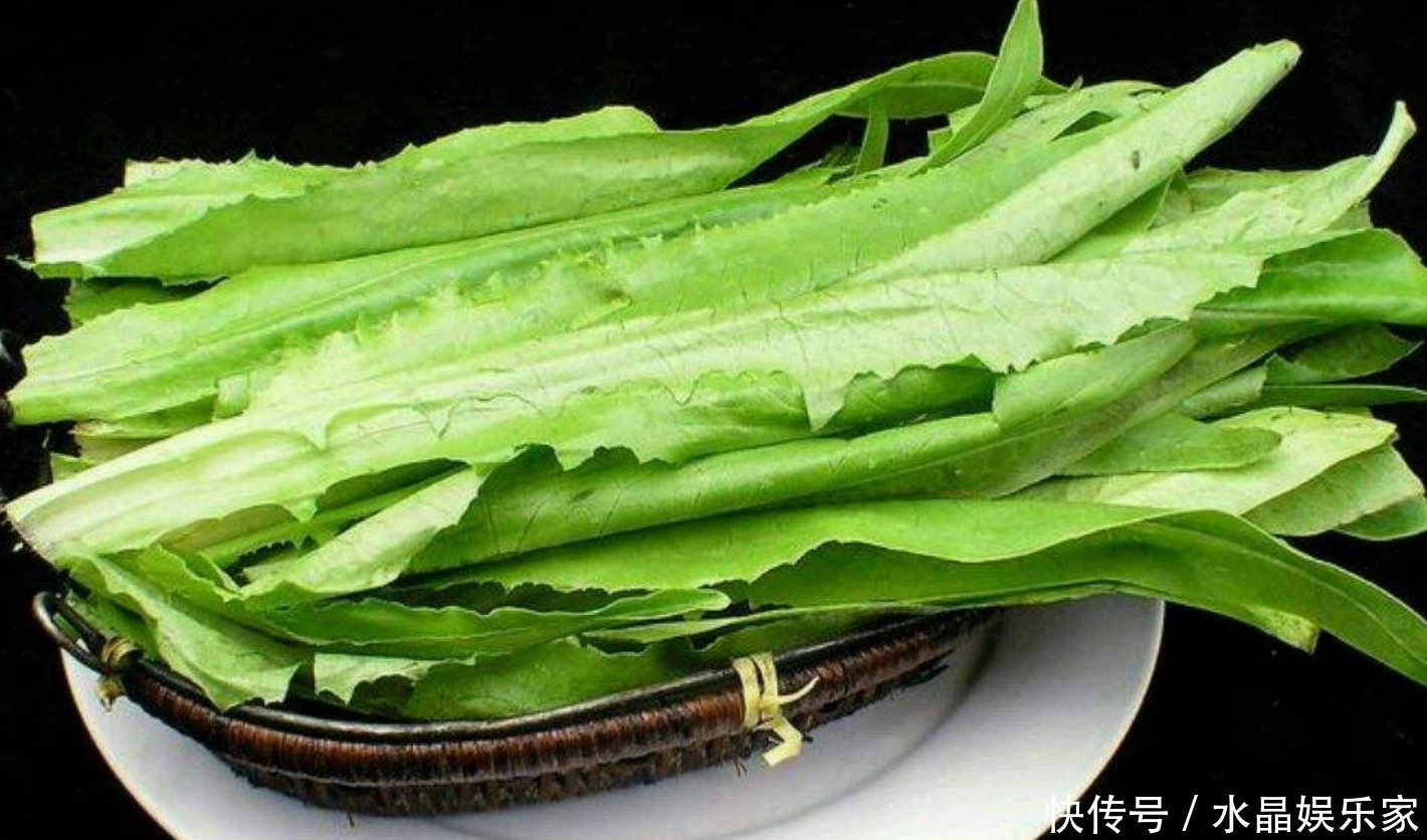 no.5|油麦菜最好吃的5种做法,每一种都简单美味,你喜欢哪一种