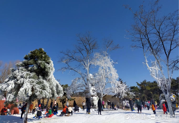 齐鲁雪乡现云海雾凇奇观！“冰雪王国”旅游持续火爆|他乡与故乡| 齐鲁雪乡现云海雾凇奇观！“冰雪王国”旅游持续火爆\＂,\＂i12\＂:\＂他乡与故乡