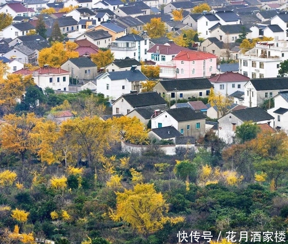 苏州太湖西山岛|苏州人的宝岛秘境,美成仙境,却被时光遗忘!