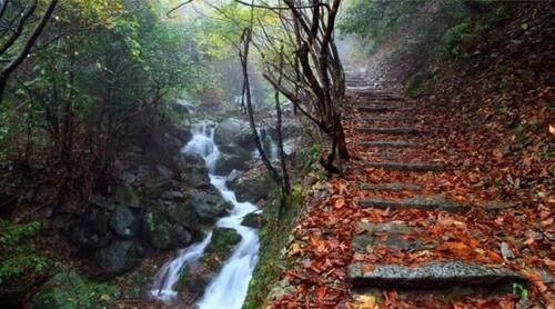 老年|这条被遗忘在旌德大山深处的千年古道，风景一绝，据说90％的人都不知道！