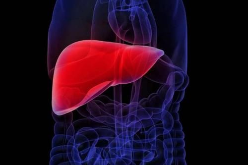 4物|养肝的“黄金期”在早晨？早餐多吃这“4物”，肝脏或可更健康