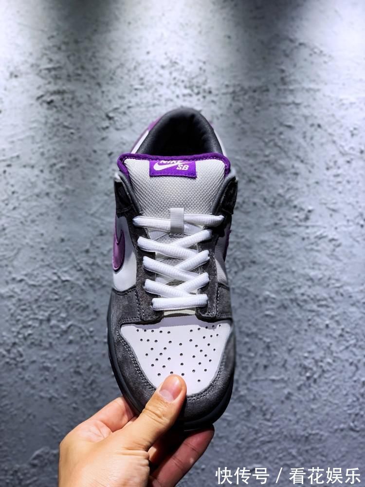 颜值爆表|黑鸽子见多了看看这款颜值爆表的紫鸽子吧!