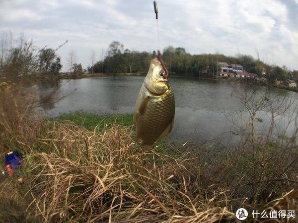 钓鱼人|钓鱼十年明白一个道理,钓鲫鱼打窝不必复杂,这3个原则简单有效