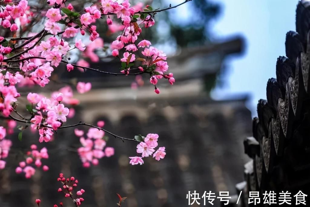 梅花|晏殊的曾孙另辟蹊径,写下一首咏梅禅诗,短短56字令人叫绝