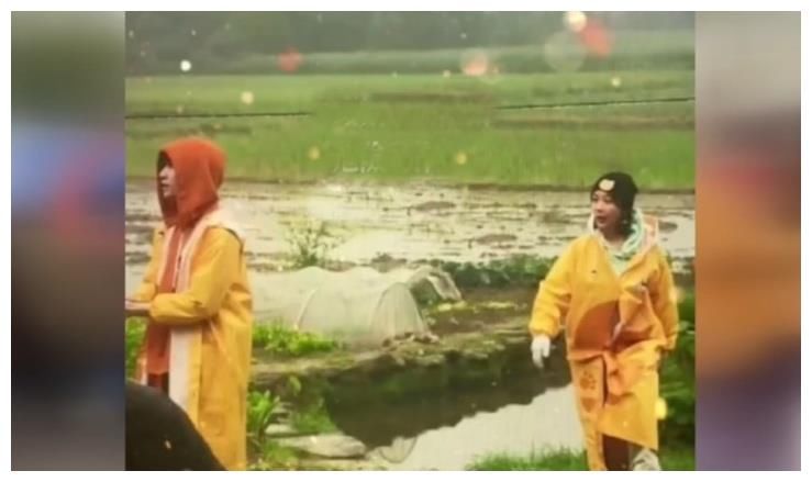 杨紫做客向往的生活,与张艺兴下地干农活,二人眼神很抢戏