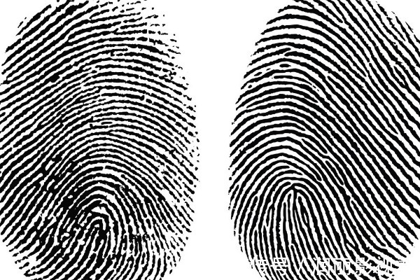 簸箕@俗语:“十指簸箕没有斗”,其实后半句才经典,看看你有几个斗?