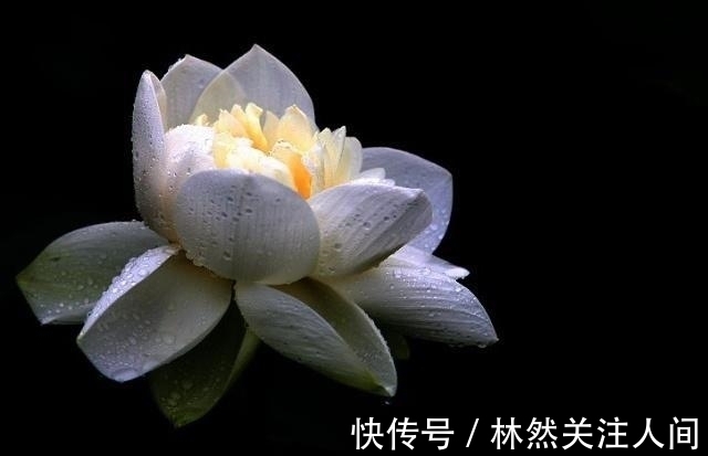 人生|做人,若是理不清这三种关系,人生会很苦