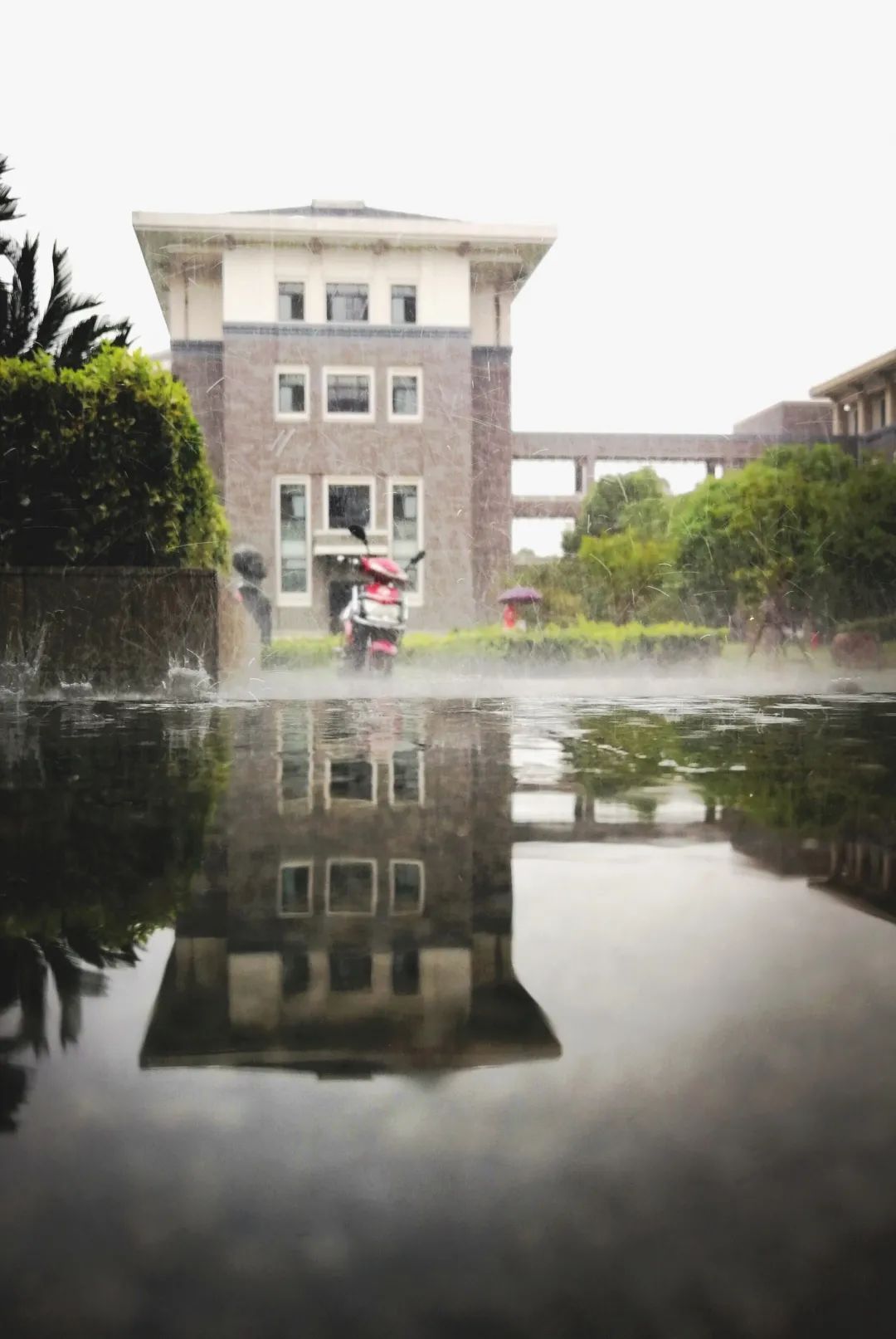 我“雨”最美校园，一起云赏沪上46所高校雨中即景