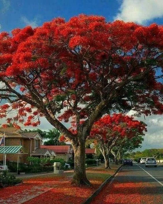 传来|太美了,世界照片今天终于传来,罕见至极,一睹为快