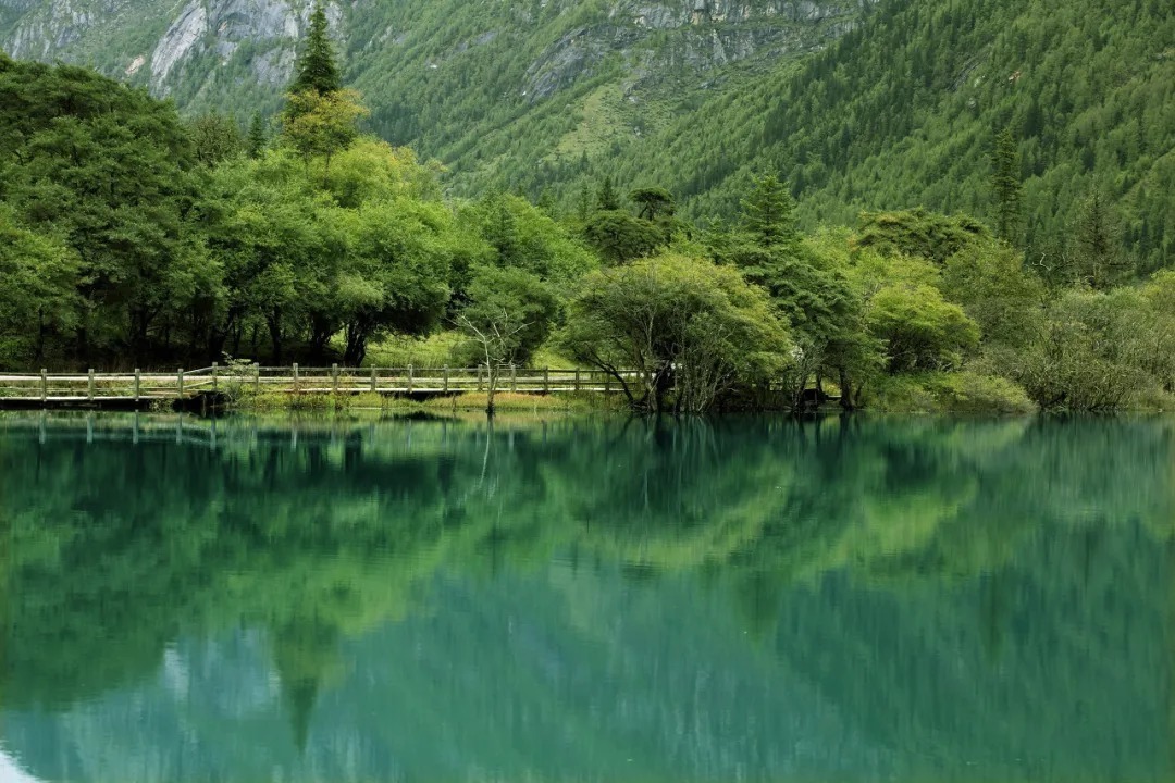 层林尽染|天堂也不过川西的模样