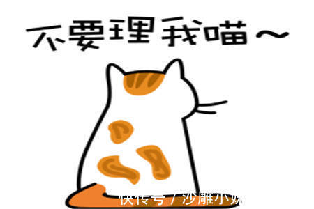 |幽默笑话:小姨子嫁给了一个55岁的老富豪,成了一个阔太太。