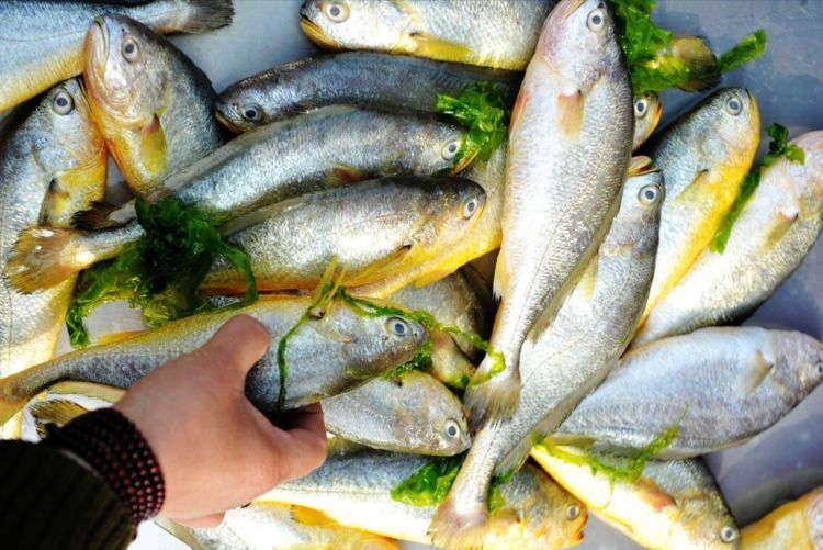 酥炸小黄鱼，用淀粉还是面粉？牢记2个窍门，又酥又脆，还不吸油