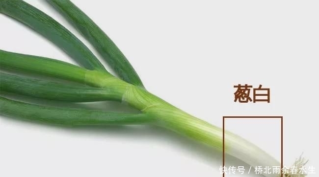 生姜|小儿推拿杨晓：孩子着凉、风寒感冒，家长不妨试试葱白生姜水！