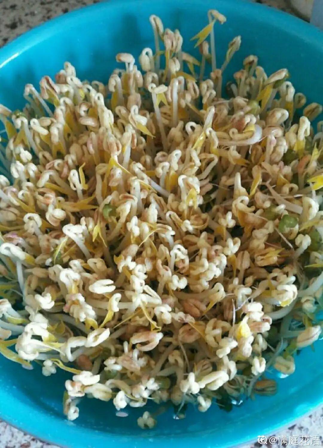 1个塑料瓶,居然有8种养花方法,省钱又好用!