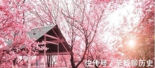 君难托!男人更懂男人!王安石一首妙诗,题目很直接,令世间多少男子汗颜