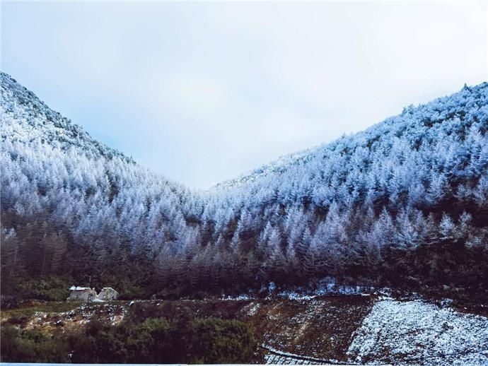 老年|巫山：春雪纷飞景如画