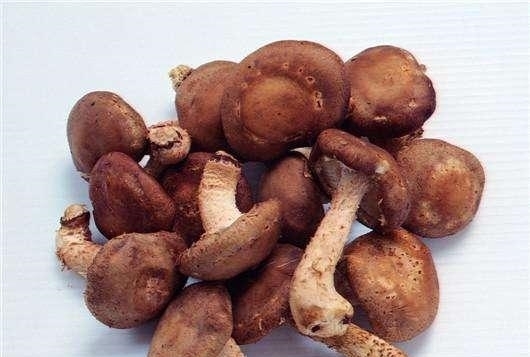  喜欢|宋徽宗时代的几位权臣都喜欢这一道美味, 制作过程真是讲究