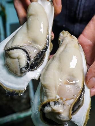 买生蚝时,聪明人遇见这3种扭头就走,海鲜店老板从不让家人吃