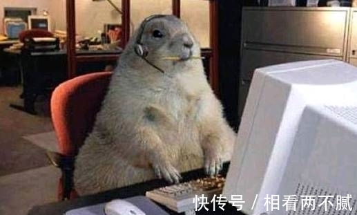 |搞笑图片幽默段子笑话:哈哈,可怜的狗狗啊,被画得不像样了