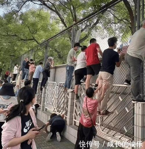 |真是太搞笑了!家长观看幼儿园监控要付费,年卡价格1198元