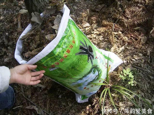 路边捡点它,开水一烫扔盆里,养花10年不烂根!
