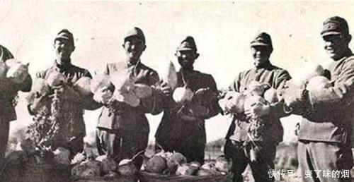 东北|十万日军在东北疯狂挖宝, 挖了一千米, 为首的却突然流泪剖腹谢罪！