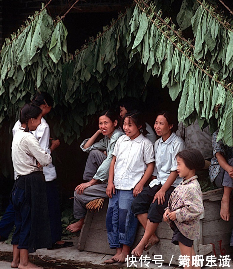 老照片：外国人拍摄的1981年的四川峨眉山，好想回去那个年代