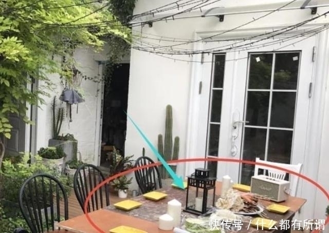 花园|女子“爆改”破败三合院,巧变花园豪宅,父母住进来不想走,显摆
