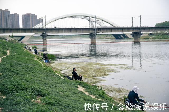 钓友|无意中搭配出一种搓饵，在小鱼闹的厉害的时候用，效果不错