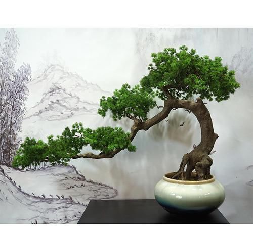 阳台再小，也要养3种花，小盆就能养，盆小水少长得快！