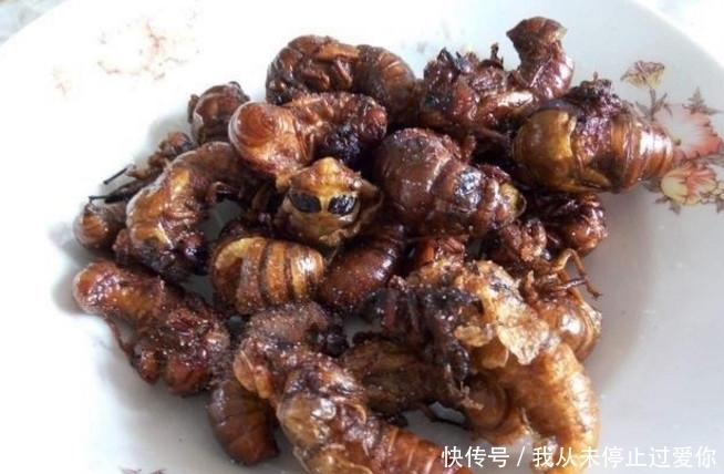 去农村亲戚家里吃饭，有一道菜还是第一次吃，你有没有吃过